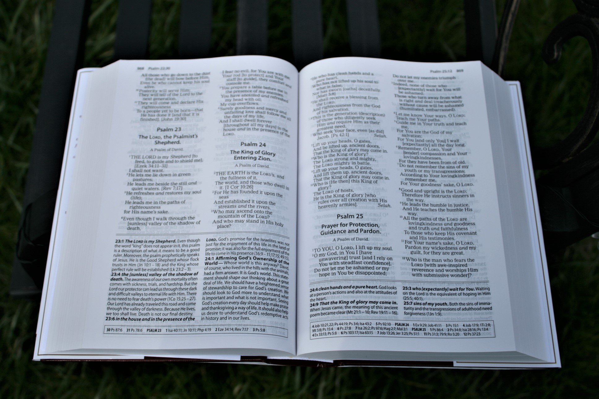 amplified bible online pdf